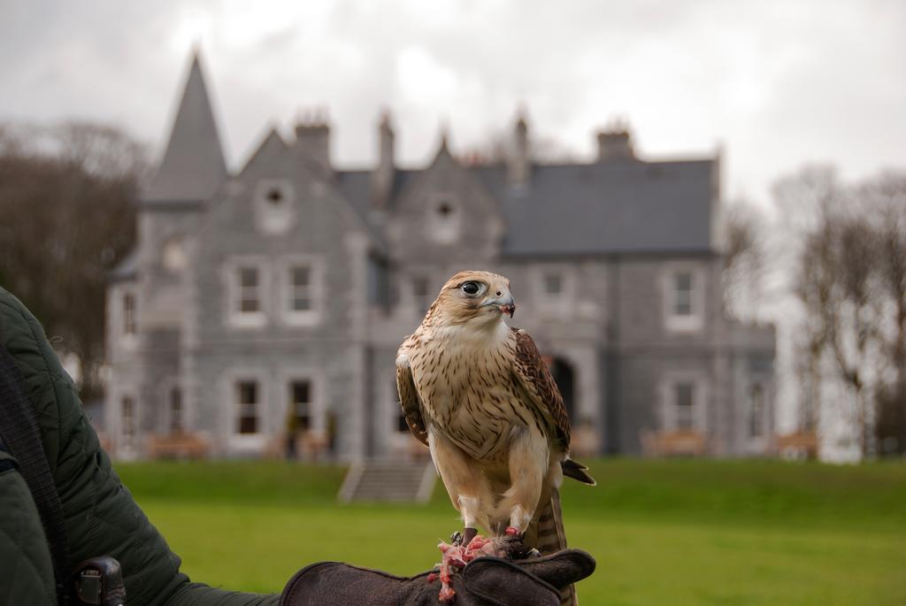 Mount Falcon Estate Ballina  Dış mekan fotoğraf