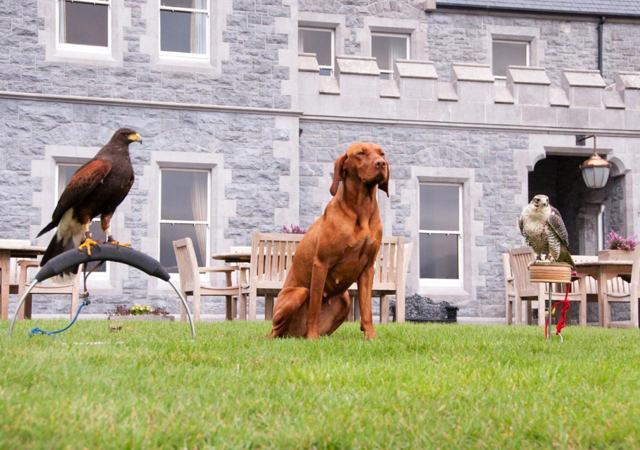 Mount Falcon Estate Ballina  Dış mekan fotoğraf