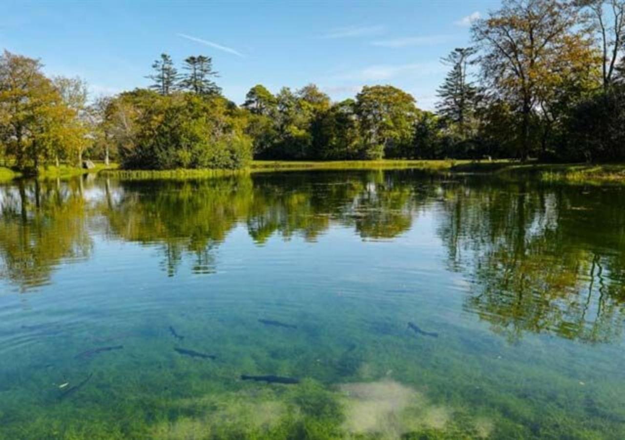 Mount Falcon Estate Ballina  Dış mekan fotoğraf